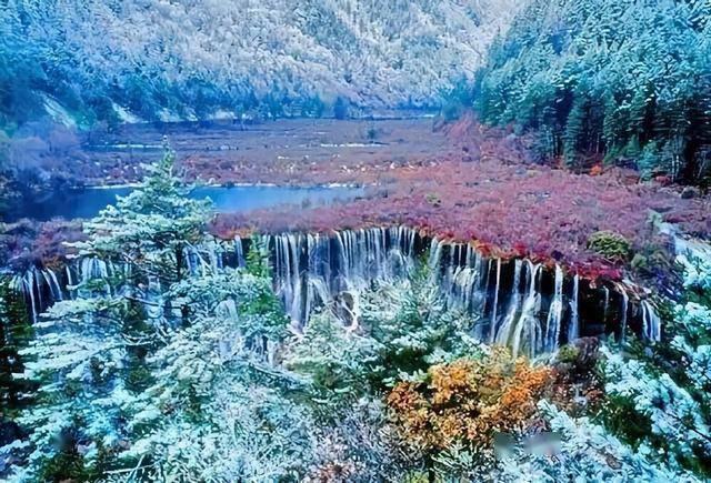 沪江开心词场