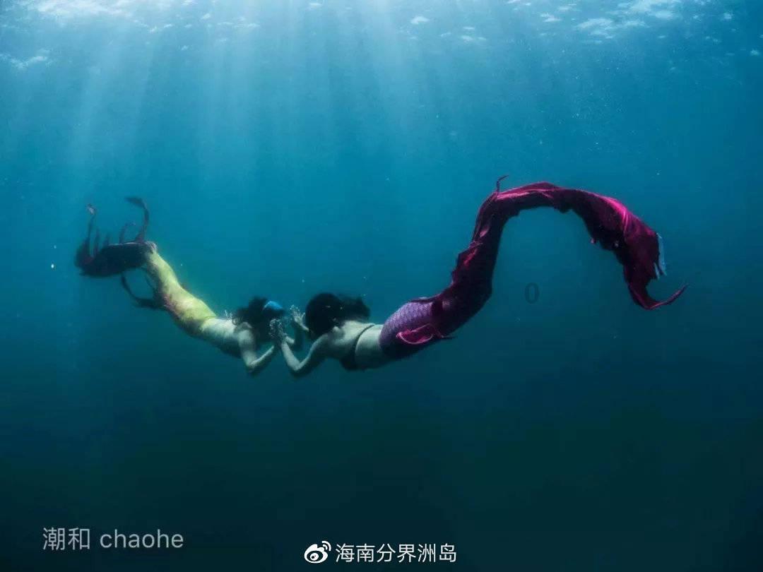 创作猫